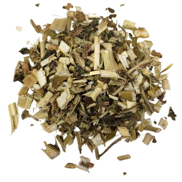 CARDO MARIANO - detox natural y protección