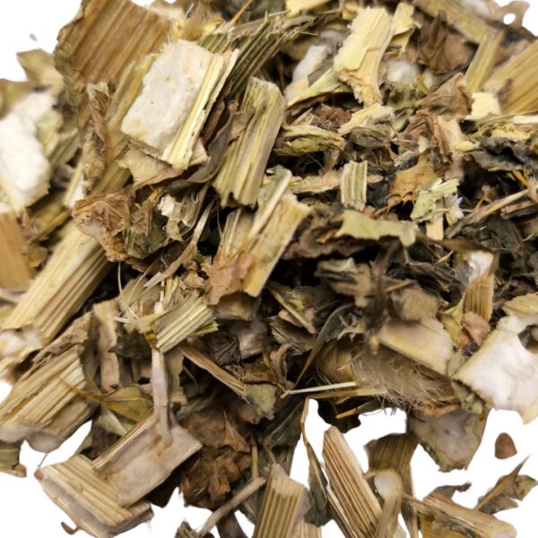 CARDO MARIANO - detox natural y protección - Imagen 2