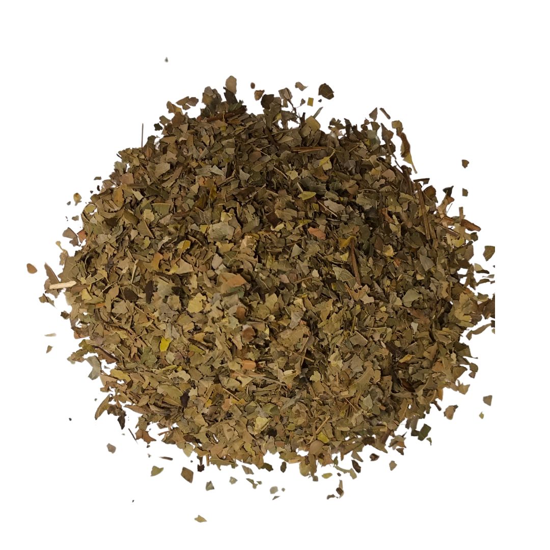 HOJAS DE GUAYABA - hipoglucemiante y antidiarreíca