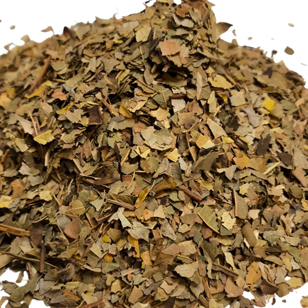 HOJAS DE GUAYABA - hipoglucemiante y antidiarreíca - Imagen 2